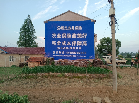 攸县墙体广告的优劣势你知道吗？